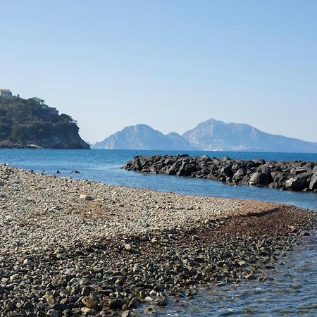 Estate4Home - Sea Beauty マッサ・ルブレンセ エクステリア 写真